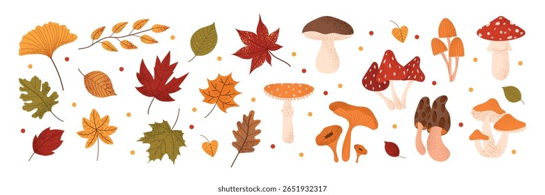Big autumn set with mushrooms and fall leaves. Cute forest elements including fly agaric, chanterelle, boletus, and colorful foliage. Cozy seasonal collection in flat cartoon style.