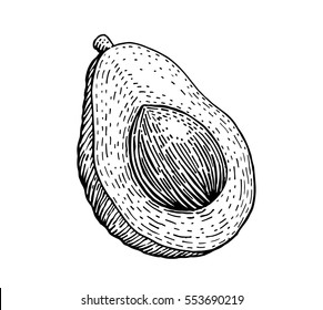 Big avocado illustration, vintage engraving avocado over white background,  icon vector,  isolated hand drawing fruit