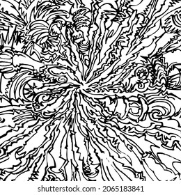 Big Bang like abstract drawing, with centrally out branching linear forms