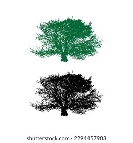 Big banyan tree vector icon silhouette, black and green tree vector illustrations.