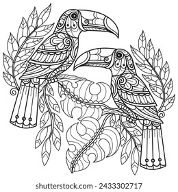 Big beak bird hand drawn for adult coloring book