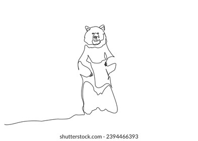 big bear animal dangerous life in nature one line art design