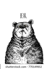 Big bear hand drawing on white back ground