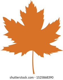 big beautiful autumn orange leaf