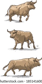 big beautiful bull symbol of health, symbol of the year