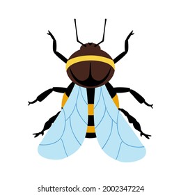 A big beautiful bumblebee. Black and yellow bee, blue wings. Icon for honey products application, nature. Vector flat illustration, cartoon style.