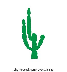 big beautiful cacti vector illustration design eps.10