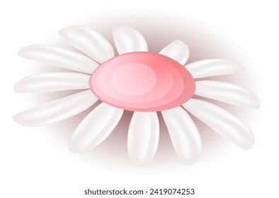 big beautiful chamomile vector illustration