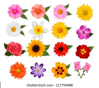 Big of beautiful colorful flowers. Vector illustration.