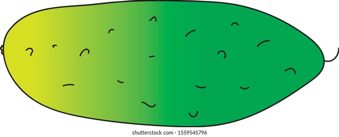 Big beautiful delicious fresh cucumber