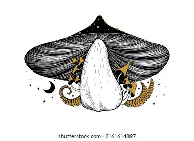 Big beautiful forest mushroom, linear sketch art. Wild plants icon, microdosing therapy concept. Retro print, vintage illustration design. Vector isolated on white background.