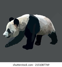 Gran y hermoso panda caminando hacia adelante