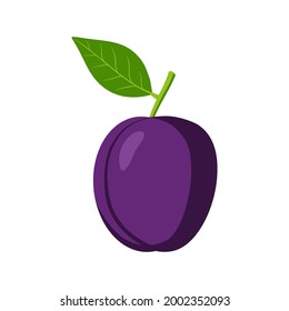 A big beautiful plum. Icon of a healthy fruit, a fresh plum with a leaf, a source of vitamins. Icon for app about products, alphabet. Vector flat illustration, cartoon style.