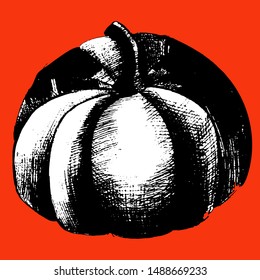 Big beautiful pumpkin, Halloween collage, hand draws with ink. Large pumpkins of different shapes, autumn still life liner in vintage style. Isolated design for wallpaper, textile.