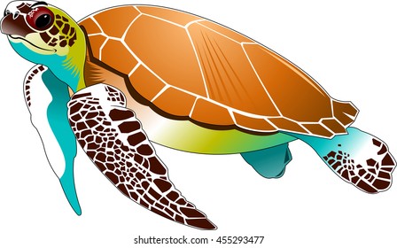 Big Beautiful Sea Turtle Swimming In The Sea, Vector