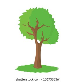 Big beautiful tree on a white background. Vector illustration. 