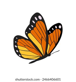 Big beautiful vector butterfly. Simple, orange elements on black wings. Isolated butterfly.