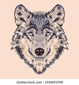 Big Beautiful Wild Blue Wolf Portrait