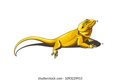 Big beautiful yellow lizard with a flower in its mouth