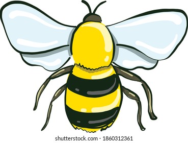 Große Biene, Illustration, Vektorgrafik auf weißem Hintergrund.