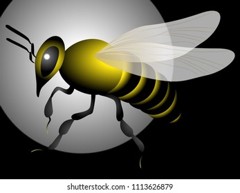 Big bee on abstract dark background, design element.