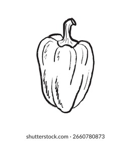 Big bell pepper design in black brush stroke texture isolated on white. Hand drawn vector sketch illustration in vintage charcoal ink. Tasty vegetable design, salad ingredient, farm, agriculture