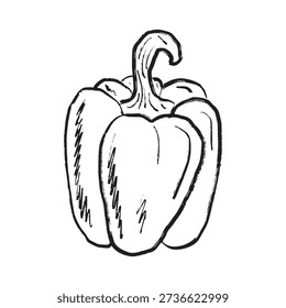 Big bell pepper design in black brush stroke texture isolated on white. Hand drawn vector sketch illustration in vintage charcoal ink. Tasty vegetable design, salad ingredient, farm, agriculture