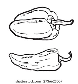Big bell pepper design in black brush stroke texture isolated on white. Hand drawn vector sketch illustration in vintage charcoal ink. Tasty vegetable design, salad ingredient, farm, agriculture