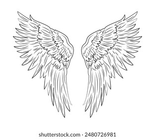 big bird angel wing black outline design vector illustration isolated white background