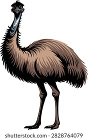 A big bird animal vector on white background.