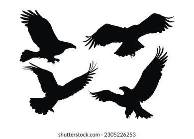 Big bird in different positions silhouette bundle design. Wild eagle flying silhouette set vector. Wild eagle vector design on a white background. Eagle flying silhouette collection.