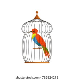 Big bird with long, brilliantly green, blue and red plumes. Cartoon character of tropical animal in old wire cage. Flat vector design for postcard, poster or flyer