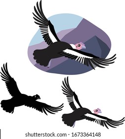 Big bird of prey south america condor flies spread its wings against the background of mountains