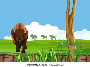 Big bison in the american prairie, wildlife landscape grass vector concept illustration
