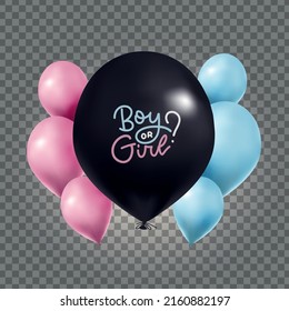 Big Black balloon with lettering text - boy or girl - with pink, blue balloons on gender reveal party. Realistic 3d design elements. Festive vector helium balloons isolated on transparent background