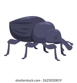 O grande besouro negro está caminhando e procurando algo para comer