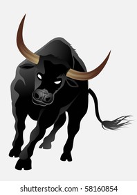 big black bull isolated on white