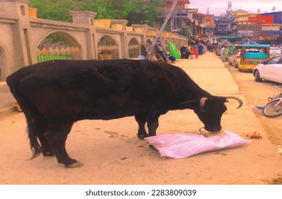 A big black cow eating dirt on road footpath in the city is a wonderful animal painting and great for people who love animals and pets .The design is excellent for decoration ,textile fabric print 