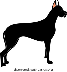 Gran perro negro, ilustración, vector sobre fondo blanco.