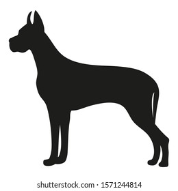 Big black dog on a white background