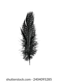 Big Black Dotted Feather on a White Background. Simple Vector Illustration of Black Bird Fluff with White Dots and Delicate, Smooth Little Pooh. RGB.