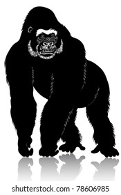 Big black gorilla stands on its hind legs.