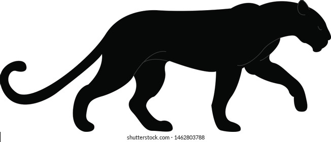 Big black panther, illustration, vector on white background.