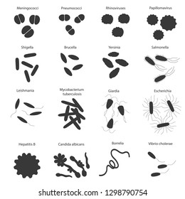 Big black set with different dangerous viruses and germs with its names. Vector illustration for education on microbiology