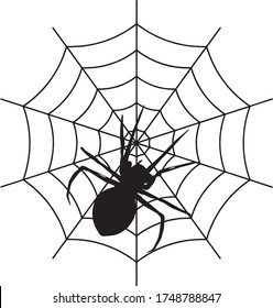 Big black smiling spider sitting on a cobweb in the corner, on an isolated background.