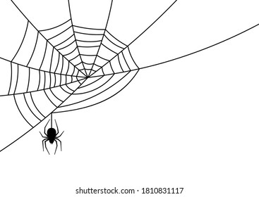 Big black spider hanging down from spiderweb in left corner of illustration. White background. Vector illustration.