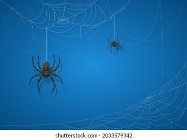 Big black spider on blue Halloween background. Banner with scary black spiders on cobwebs. Illustration can be used for holiday cards, backdrops, children's design, invitations and banners.