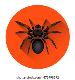 Big Black Spider Scary Insect Halloween Holiday Icon Flat Vector Illustration