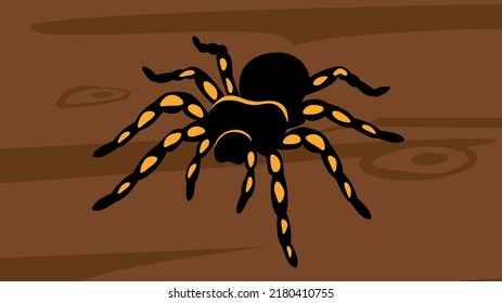 big black spider with yellow legs