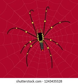 Big black and yellow spider on spider web with red background.